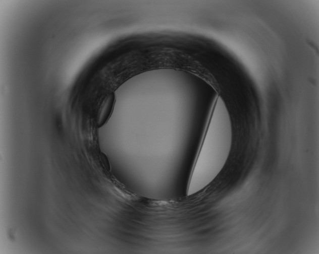 X0000093420239200710120903