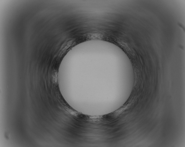 X0000093420240200710120903