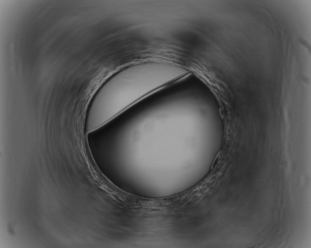 X0000093420241200710120902