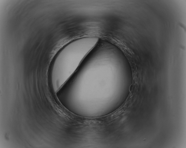 X0000093420242200710120902