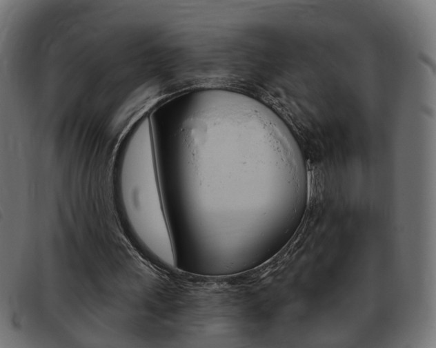 X0000093420243200710120902