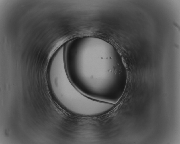 X0000093420244200710120902
