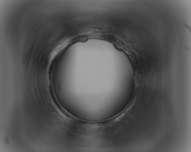 X0000093420245200710120902
