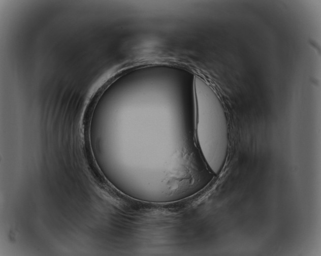 X0000093420246200710120902