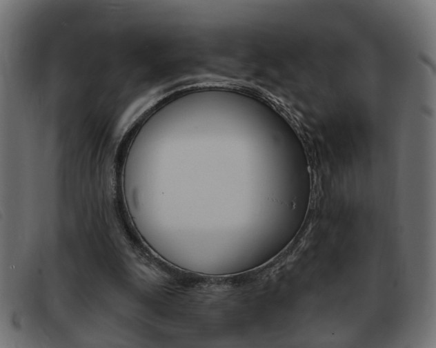 X0000093420247200710120902