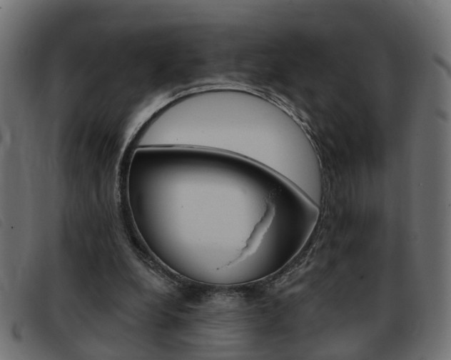 X0000093420248200710120902