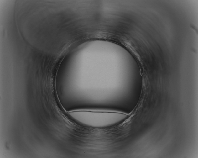 X0000093420249200710120902