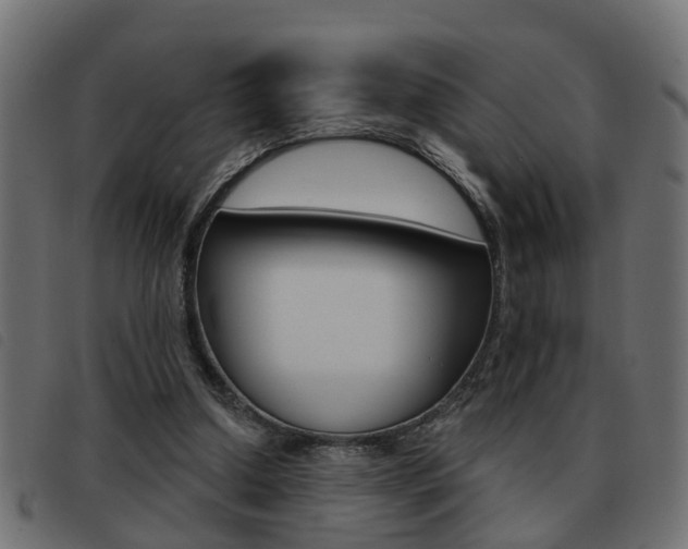 X0000093420250200710120902