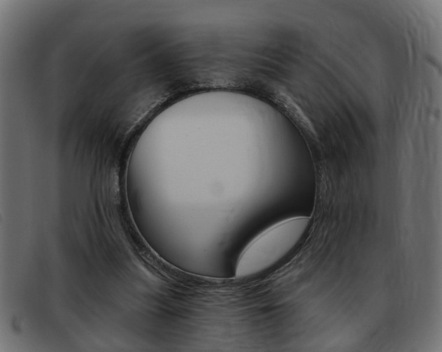 X0000093420251200710120902