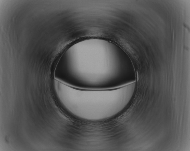 X0000093420252200710120902