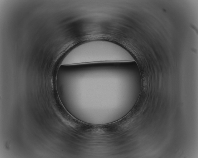 X0000093420254200710120903