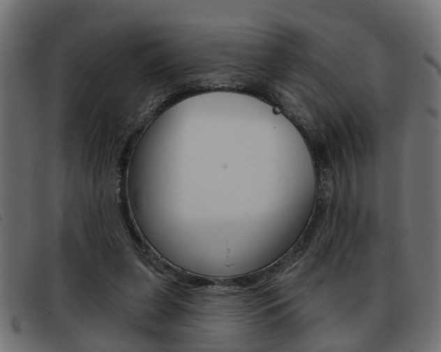 X0000093420255200710120903
