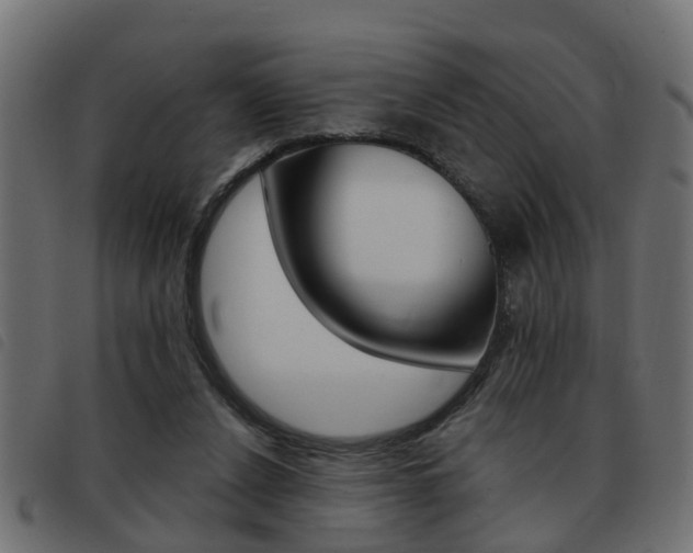 X0000093420256200710120903
