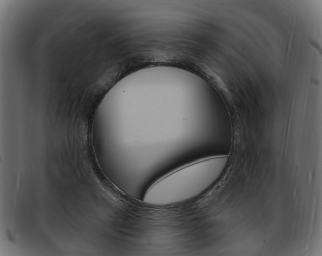 X0000093420257200710120903