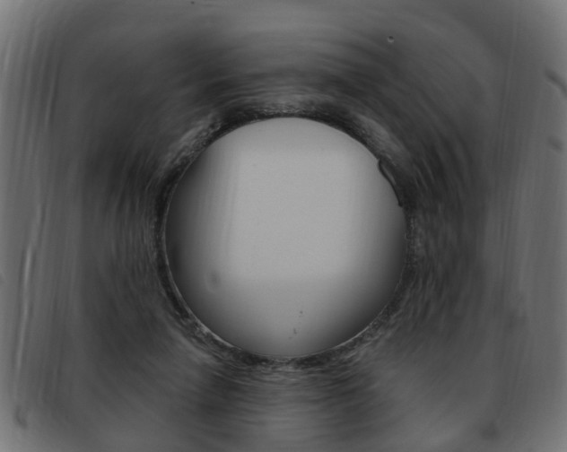 X0000093420258200710120903