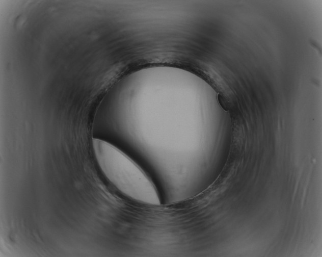 X0000093420261200710120903