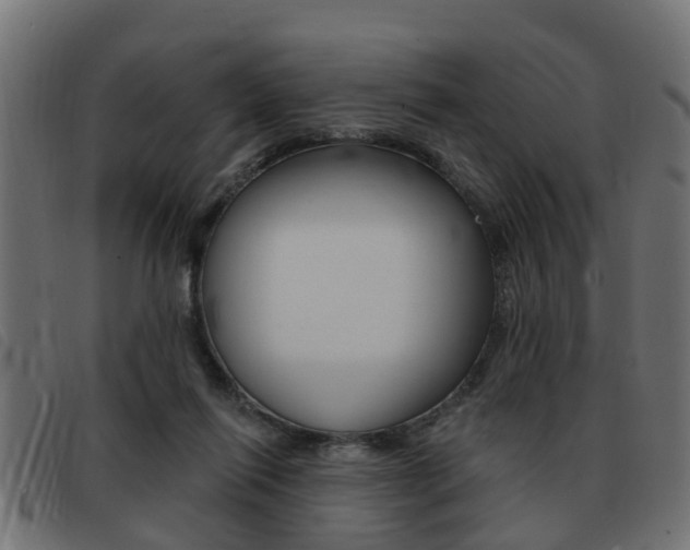 X0000093420262200710120903