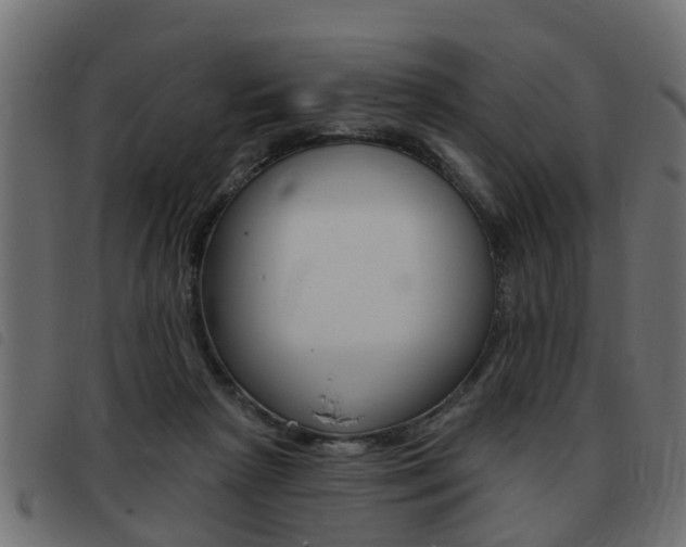 X0000093420265200710120903