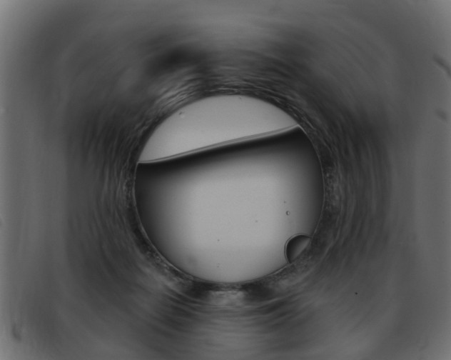 X0000093420266200710120903