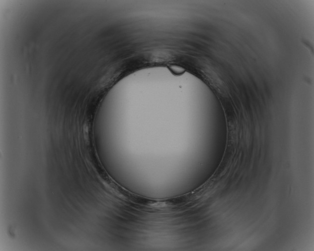 X0000093420269200710120903