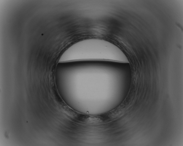 X0000093420270200710120903