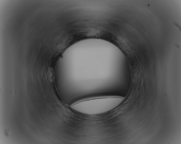 X0000093420273200710120903
