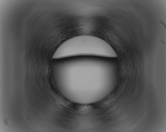 X0000093420274200710120903