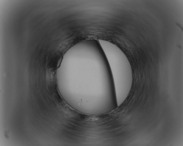 X0000093420276200710120903