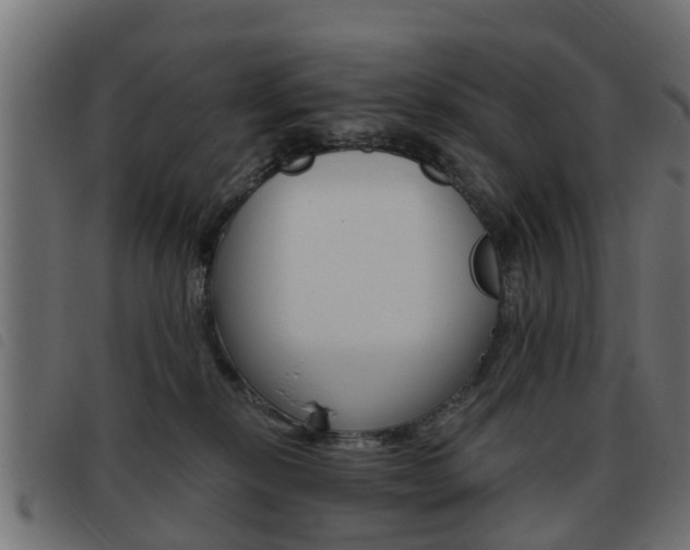 X0000093420278200710120903