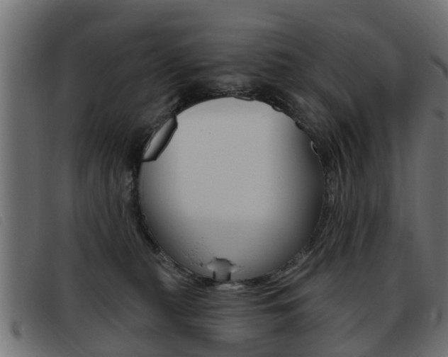 X0000093420279200710120903