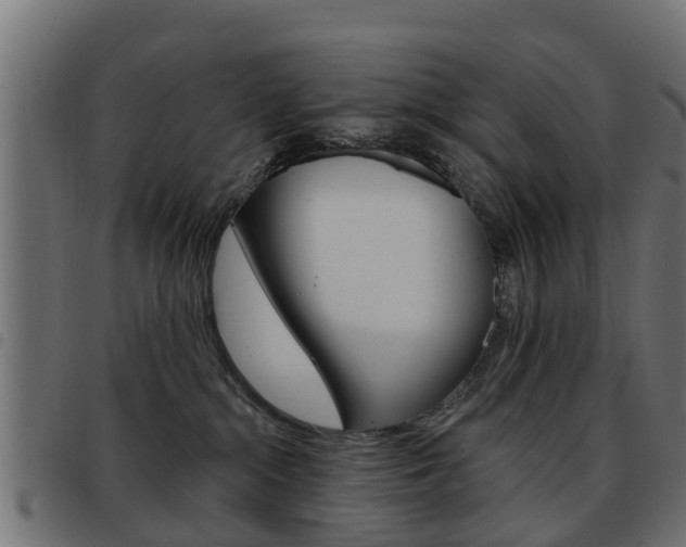 X0000093420284200710120903