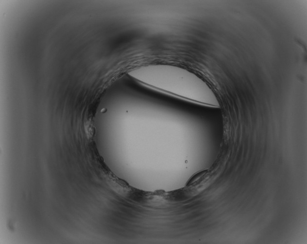 X0000093420285200710120903