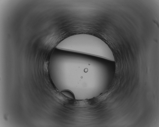 X0000093420286200710120903
