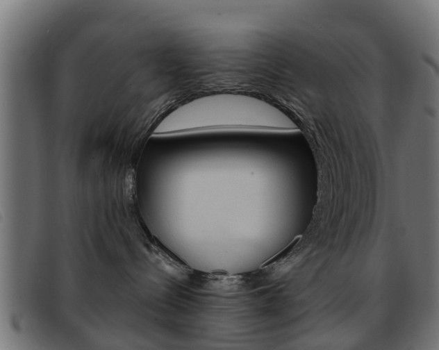X0000093420288200710120903