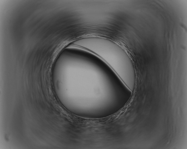 X0000093420289200710120902
