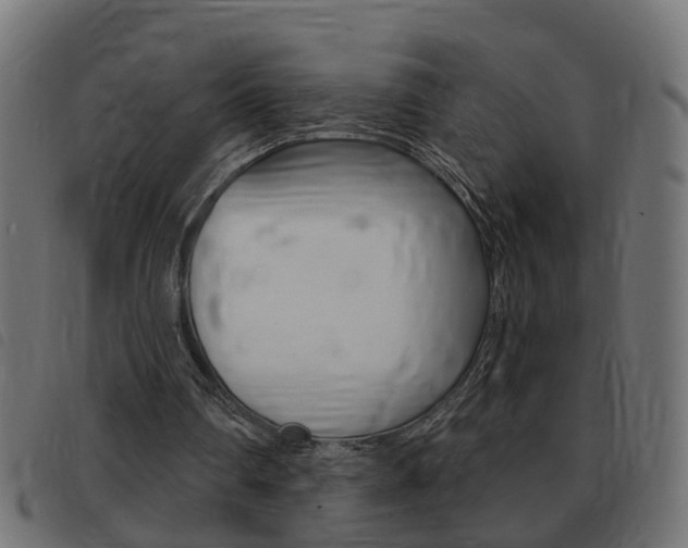 X0000093420290200710120902