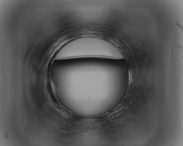 X0000093420291200710120902