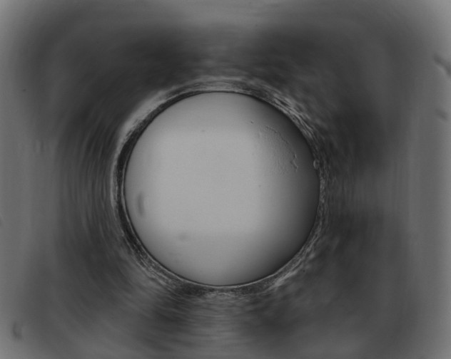 X0000093420294200710120902