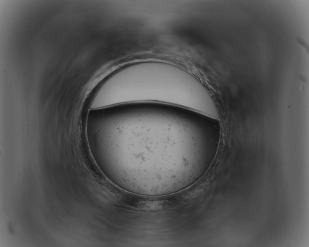 X0000093420295200710120902