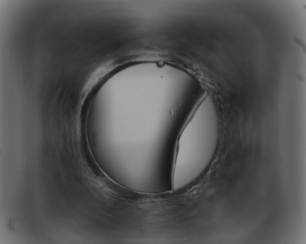 X0000093420296200710120902