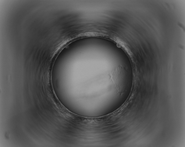 X0000093420297200710120902