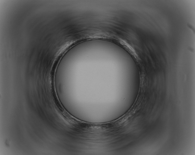 X0000093420298200710120902