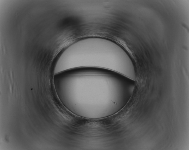 X0000093420299200710120902