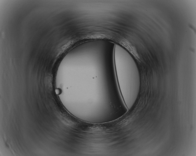 X0000093420300200710120902