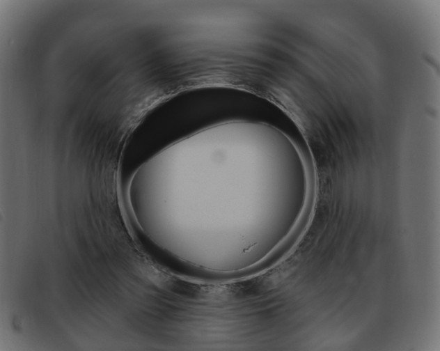 X0000093420301200710120902