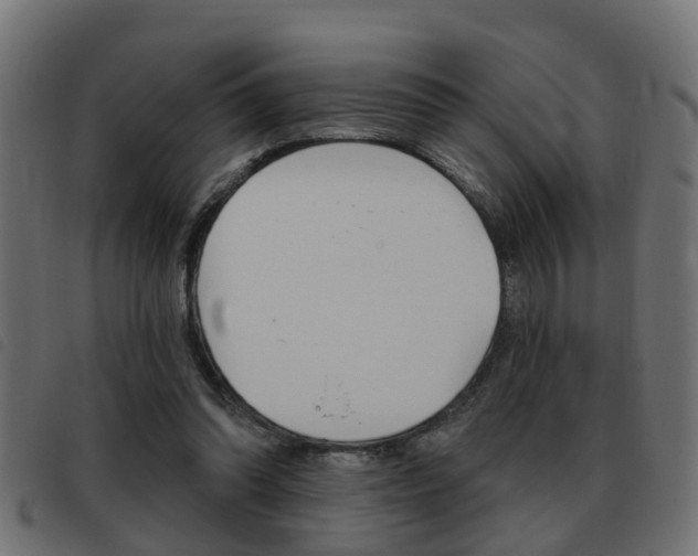 X0000093420302200710120902