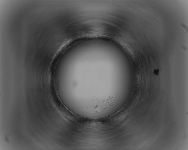 X0000093420304200710120902