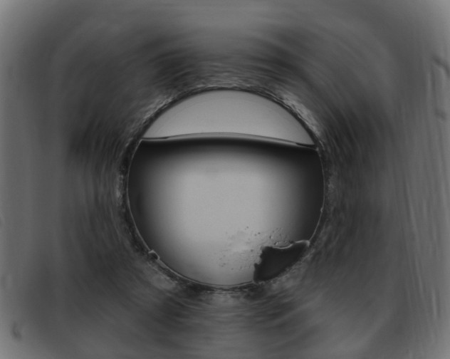 X0000093420305200710120902