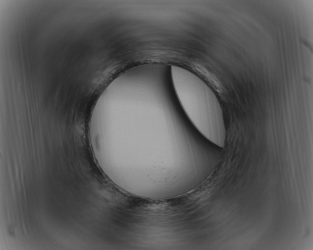 X0000093420306200710120902