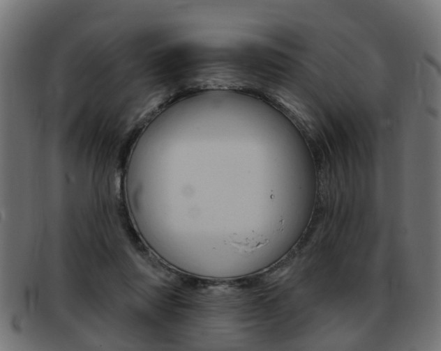 X0000093420310200710120902